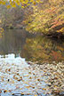Fall Pond 